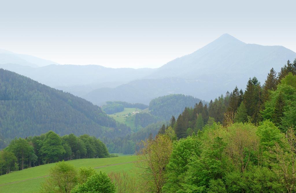 Waldblick Landhaus B&B Schwarzenbach an der Pielach Exterior photo
